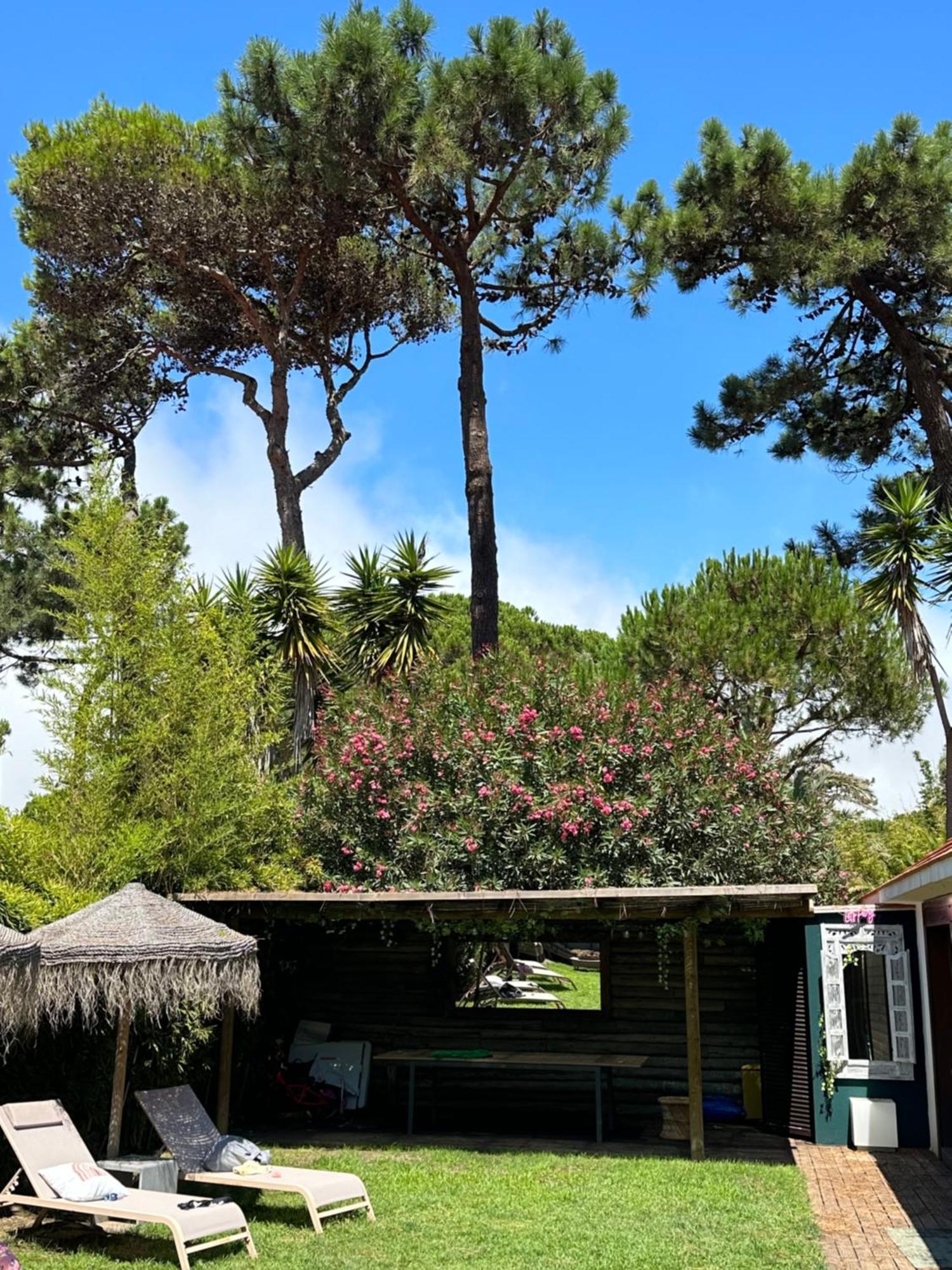 Lux Quinta Da Marinha *